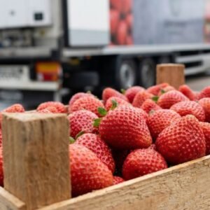 Logística de Fruta y Hortaliza